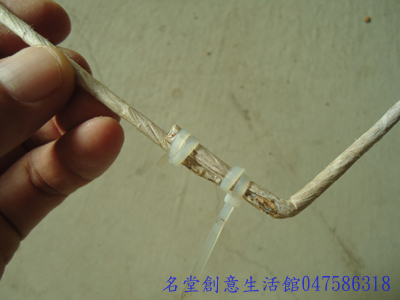 DSC02051