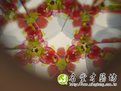 DSC02406