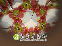 DSC02405