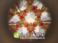 DSC02407