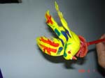 DSC01131